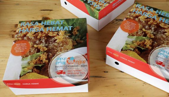 kemasan nasi box dapur emaknyus